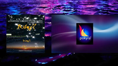 Why You? by Kehrt Chestnut